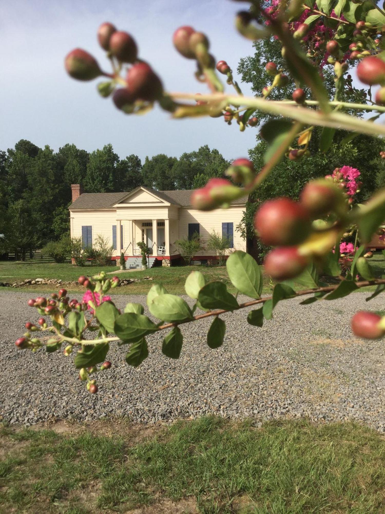 Bed and Breakfast Coulter Farmstead Washington Exterior foto